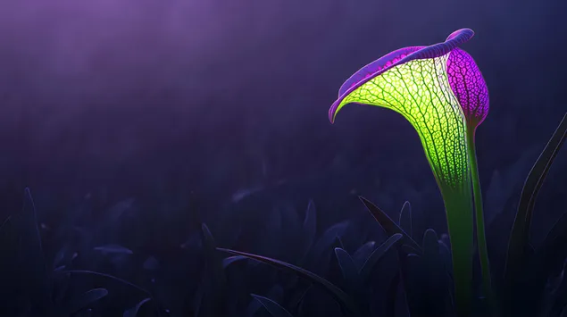 Hình nền Cây nắp ấm neon bí ẩn trong cảnh đêm sương mù 8K