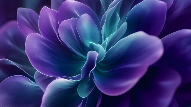 fractales mystiques ressemblant a des fleurs aux couleurs vives telechargement