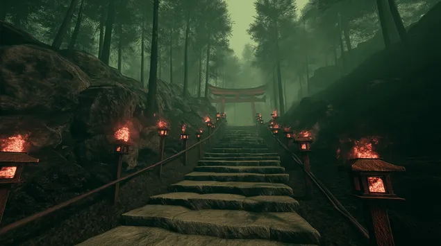 مسار الغابة الغامض المبطن بالفوانيس الحجرية إلى ضريح 2K خلفية