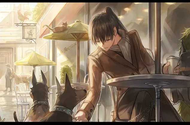 nacht faust z shbdr syh brgyry khnyd