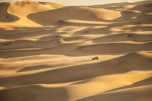 Namibië 4x4 in de woestijn