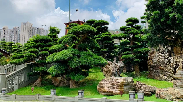 nan lian-tuin in hong kong download