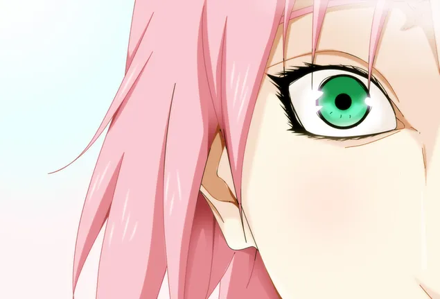 Naruto Shippuden - Sakura Haruno download