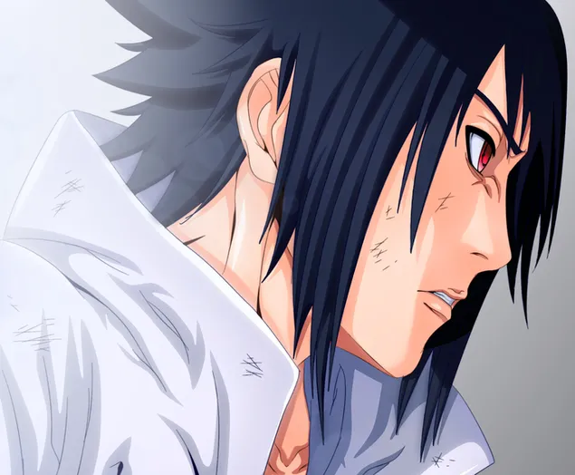 Naruto Shippuden : Sasuke Uchiha After Great War
