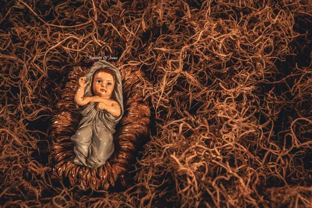 Natividad de Jesús