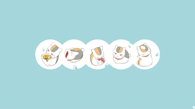 کتاب دوستان ناتسومه کاغذدیواری  4K