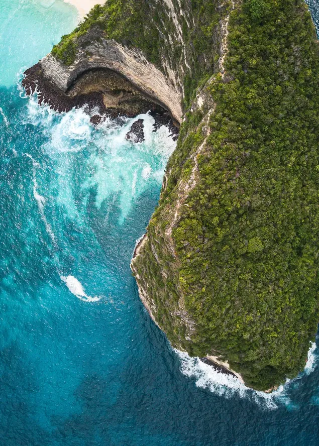 الجمال الطبيعي لأشجار الغابات في الجزيرة المحاطة بأمواج البحر 2K خلفية