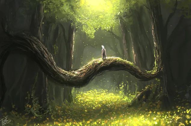 الجسر الطبيعي 2K خلفية