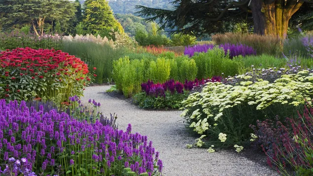 Naturaleza - jardín de flores de colores
