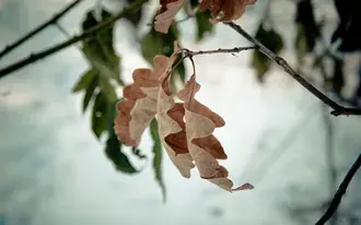 Hình nền Thiên nhiên - mùa thu 2K