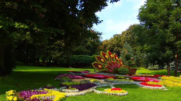 自然——美麗的花園 HD 壁紙