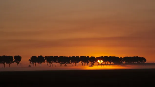 Nature - Beautiful sunset background 4K wallpaper download