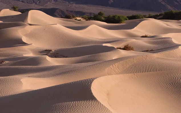 Nature - desert view HD wallpaper