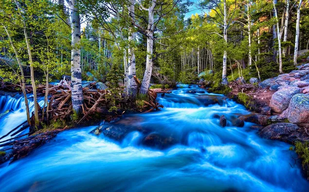 Natur - fließender Fluss herunterladen