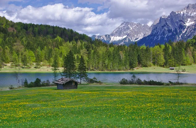 Natur - grüner Landschaftshintergrund HD Hintergrundbild