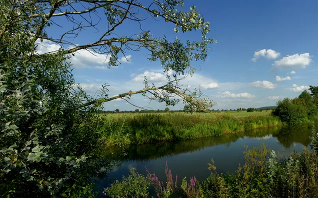 Natur - Hintergrundansicht des Sees HD Hintergrundbild