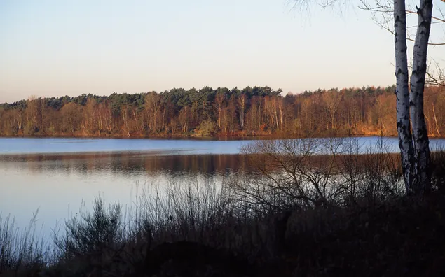 自然-湖泊背景 HD 壁紙