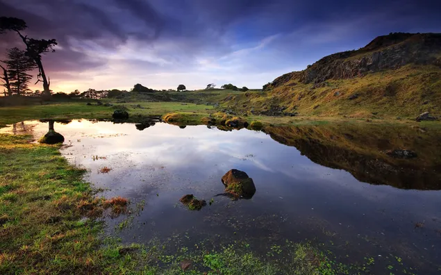 Naturaleza - reflejo del lago