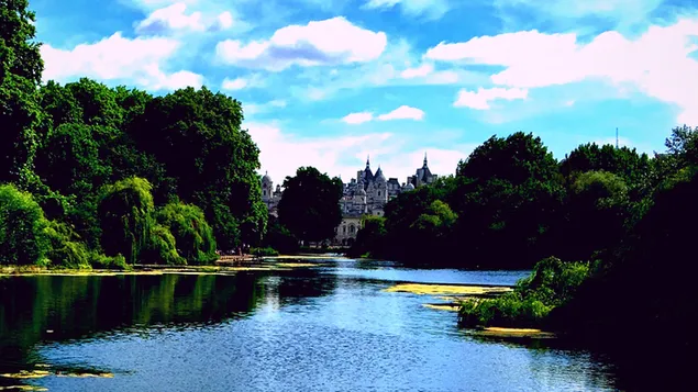Paisatge natural - Palau de Buckingham Londres baixada