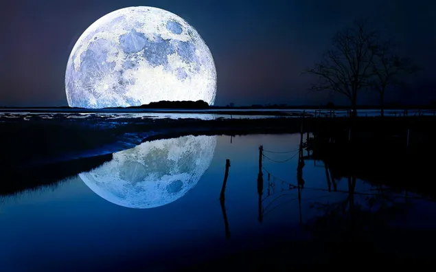 Nature Moon download