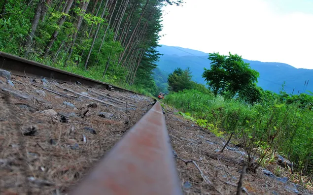 自然 - 鐵軌 2K 壁紙