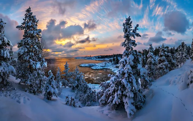 Naturaleza árboles de nieve y puesta de sol. 2K fondo de pantalla
