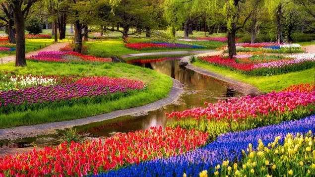 Nature - Spring flowers download