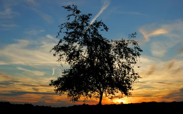 Natur - Sonnenunterganghintergrund HD Hintergrundbild