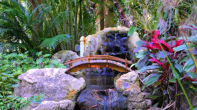 טֶבַע 4K טפט