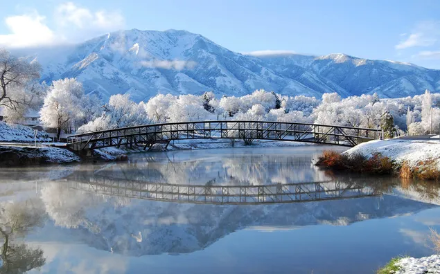 Naturaleza - paisaje de invierno 2K fondo de pantalla