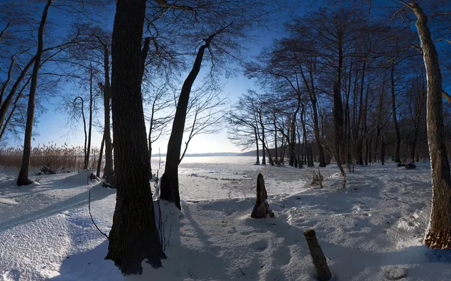 Naturaleza - vista de invierno HD fondo de pantalla