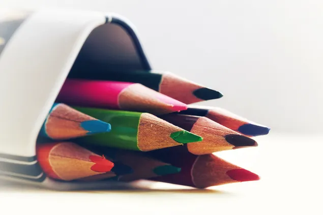 „Naturel“ fotografijos pieštukas 4K ekrano užsklanda