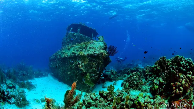 Naufragio y buceo en naufragio, arrecife de coral