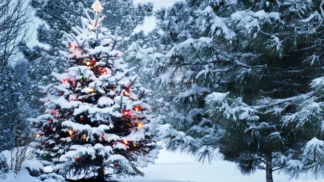 Navidad - Pino cubierto de nieve con luces