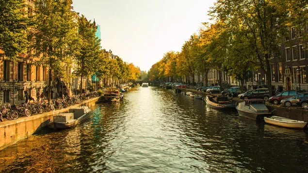 オランダ、10月、運河、ボート、アムステルダム、航海船
