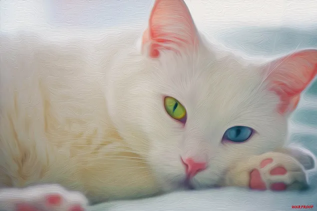 Netter Hintergrund der weißen Katze