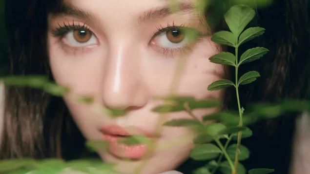 دانیال نیو جینز | شوت آلبوم بلند شو کاغذدیواری  4K