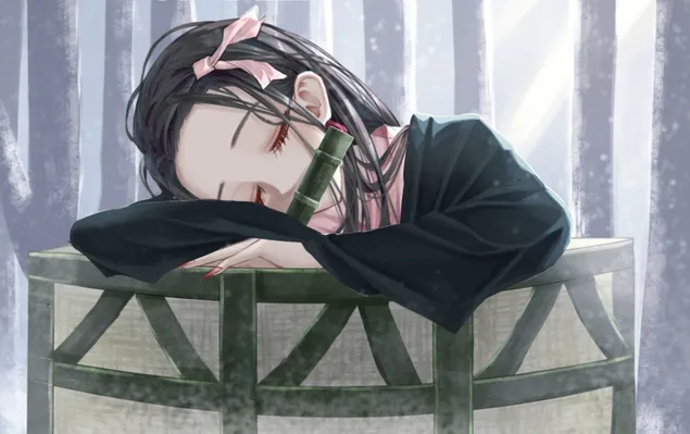 Nezuko sover i en kurv HD bakgrunn