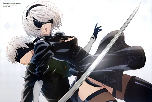 nier:automata ver1.1a hvrd