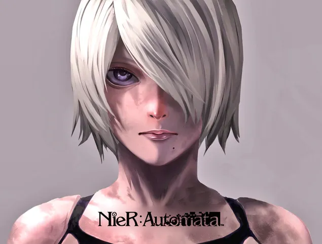 Nier Automata - Yorha Type A No. 2 (Attacker) Branch D Final Boss 2K achtergrond