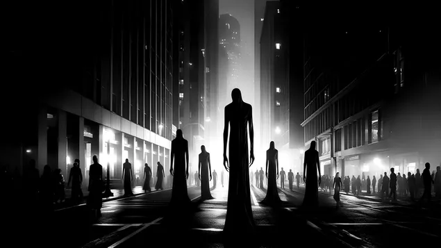 밤 안개 낀 흑백 공포 6K 배경화면