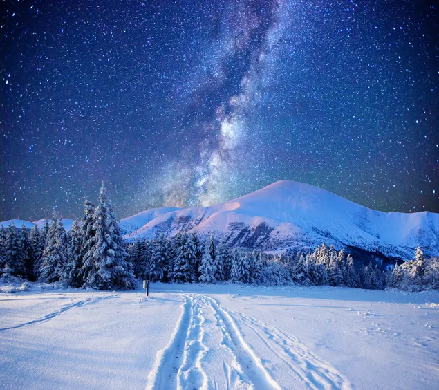 Paisaje de nieve estrellada de noche 2K fondo de pantalla