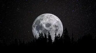 Night view of stars, pines and full moon 4K wallpaper