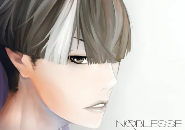 נובלס - טאו HD טפט