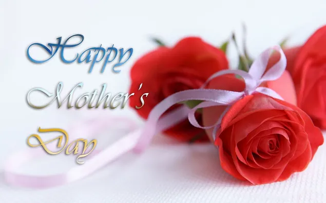 Notiz-Geschenk der Mutter Tagesrote Rose herunterladen