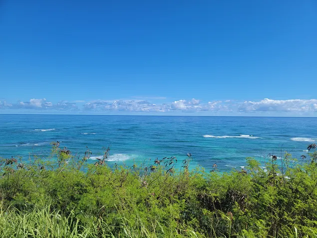 ハワイのクアロア牧場近くの海 ダウンロード
