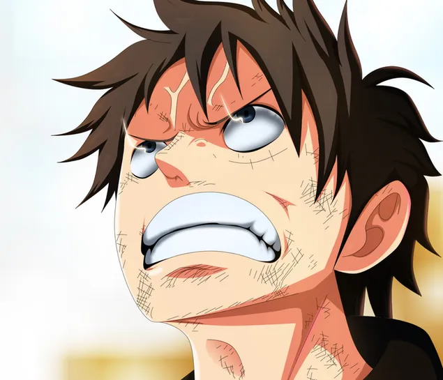 One Piece - Angry,Monkey D. Luffy