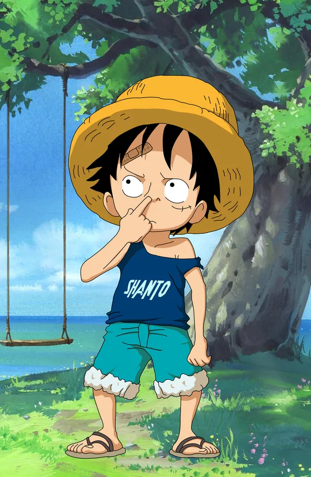 Karakter anime boy one piece (Luffy) unduhan