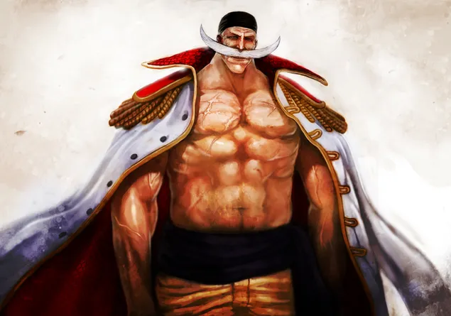 One Piece - Edward Newgate, Barba Blanca HD fondo de pantalla