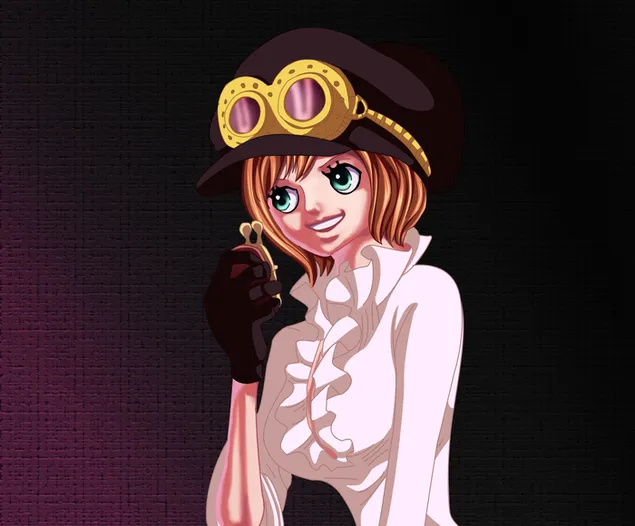 One Piece - Koala HD kertas dinding